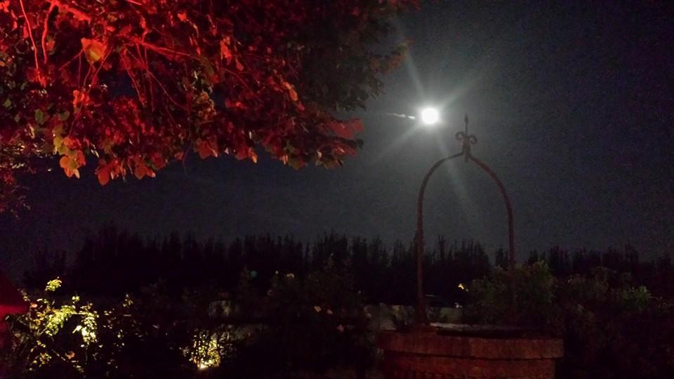 Massa Lombarda Agriturismo Ferrettiヴィラ エクステリア 写真