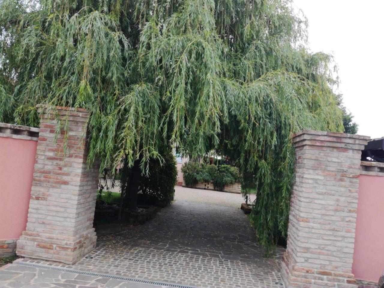 Massa Lombarda Agriturismo Ferrettiヴィラ エクステリア 写真